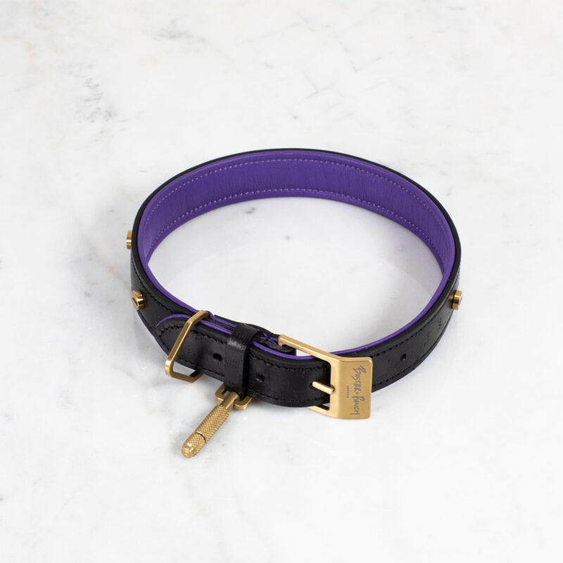 Buster + Punch - Dog Collar & Lead / Sort / Lilla / Messing - Image 2