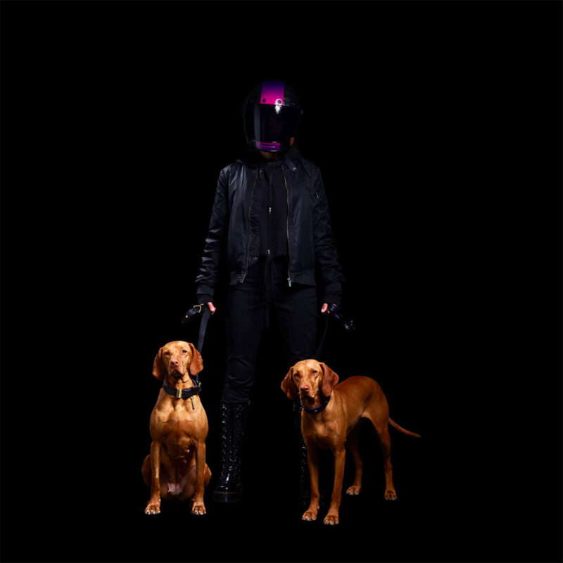 Buster + Punch - Dog Collar & Lead / Sort / Lilla / Messing - Image 8