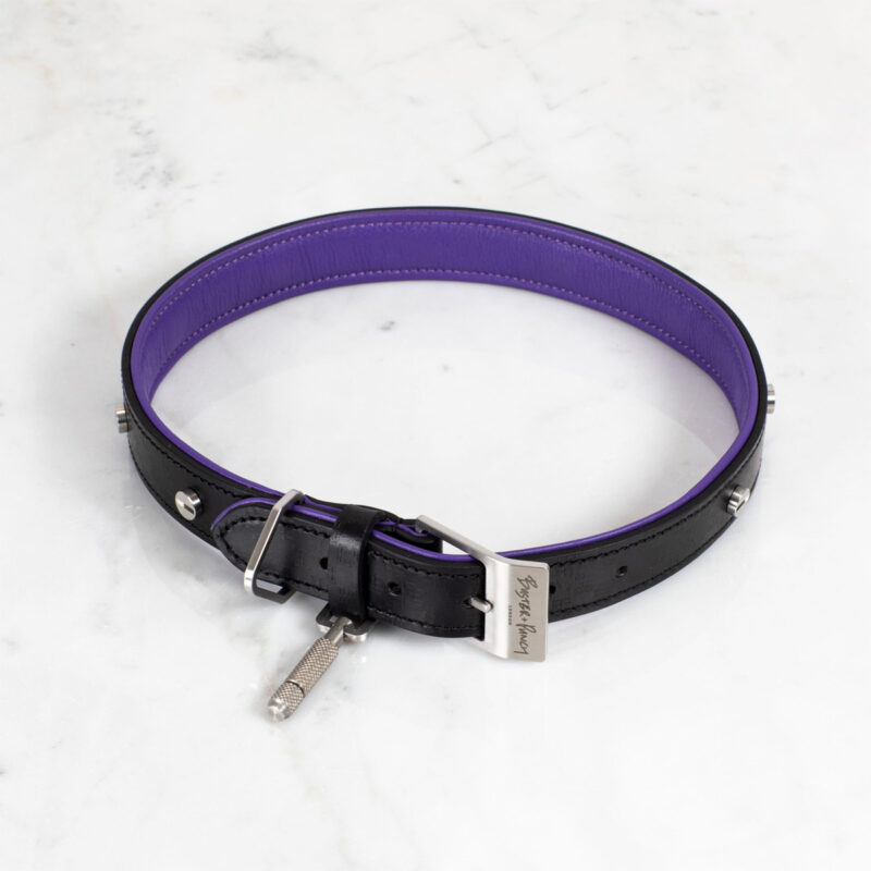 Buster + Punch - Dog Collar & Lead / Sort /  Lilla / Stål - Image 4