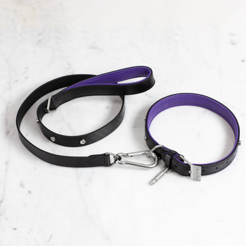 Buster + Punch - Dog Lead / Black / Purple / Steel - Image 2